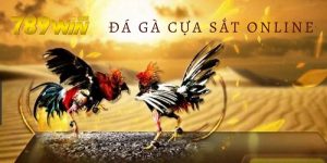 Đá gà cựa sắt online